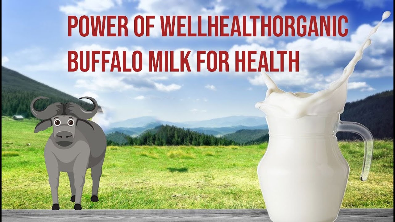 Discover the Pure Goodness: WellHealthOrganic Buffalo Milk