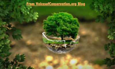 the #voicesofconservation.org blog