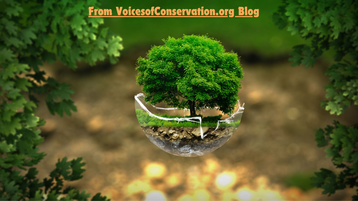 the #voicesofconservation.org blog