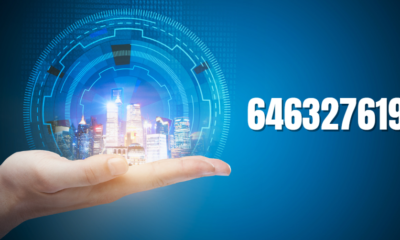 What is 6463276197? – A Complete Guide