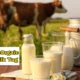 Elevate Your Health: The WellHealthOrganic Buffalo Milk Tag Difference