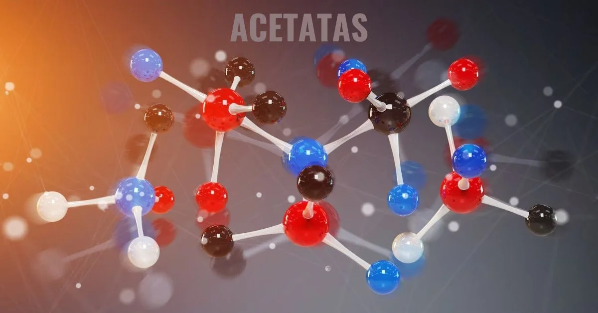 What is Acetatas: All You Need to Know